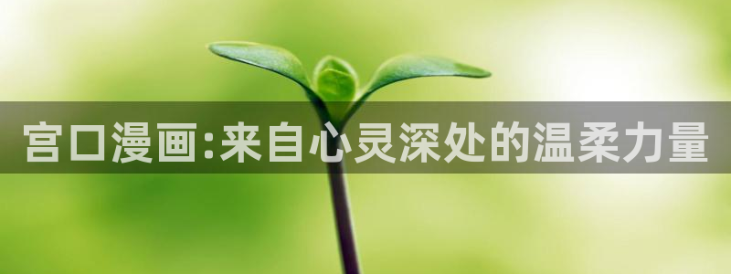 全知读者视角飞飞漫画