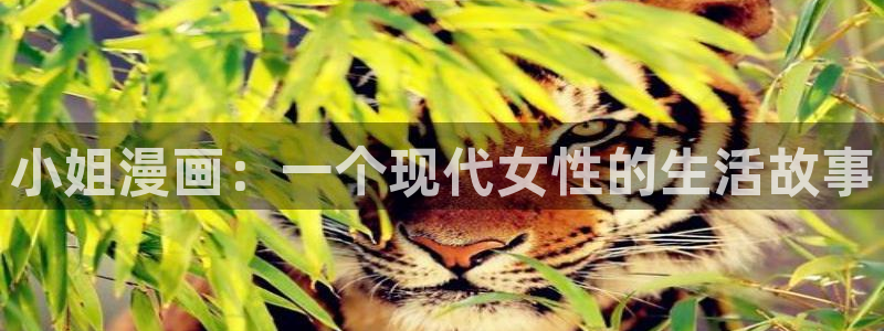 飞飞漫画官网在线观看：小姐漫画：一个现代女性的生活故事