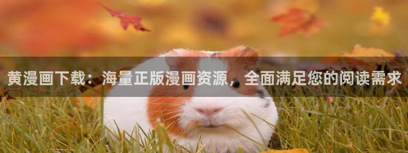 飞飞漫画网正版免费入口：黄漫画下载：海量正版漫画资源，全面满足您的阅读需求