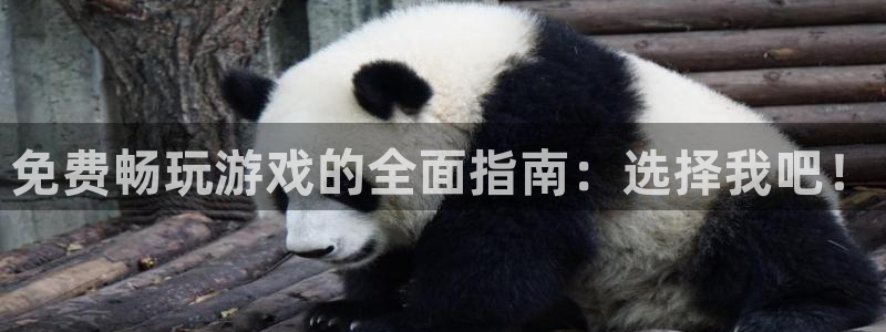 飞飞漫画免费入口：免费畅玩游戏的全面指南：选择我吧！