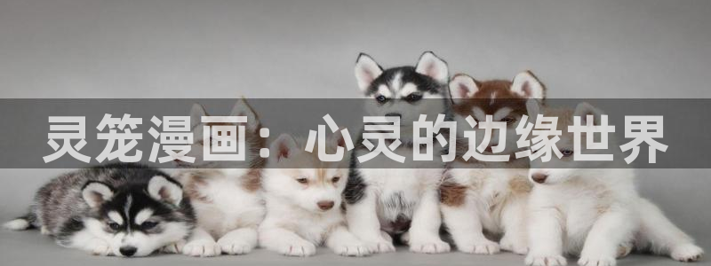 飞飞漫画网正版免费入口：灵笼漫画：心灵的边缘世界