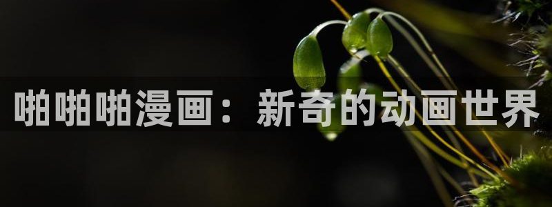 飞飞漫画网：啪啪啪漫画：新奇的动画世界